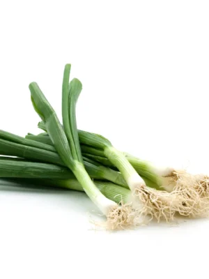 Ceapa Verde (legatura)